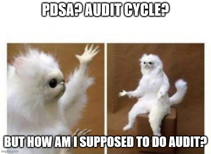 Clinical Audit Meme