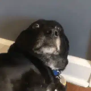 Funny meme 2