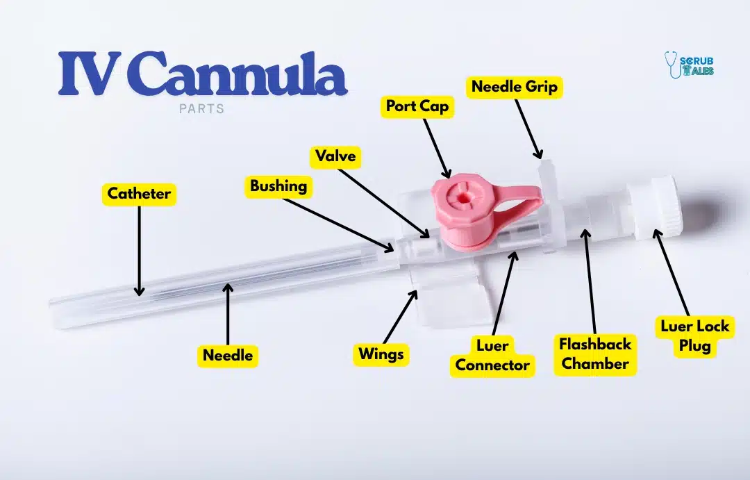 Parts of an IV Cannula