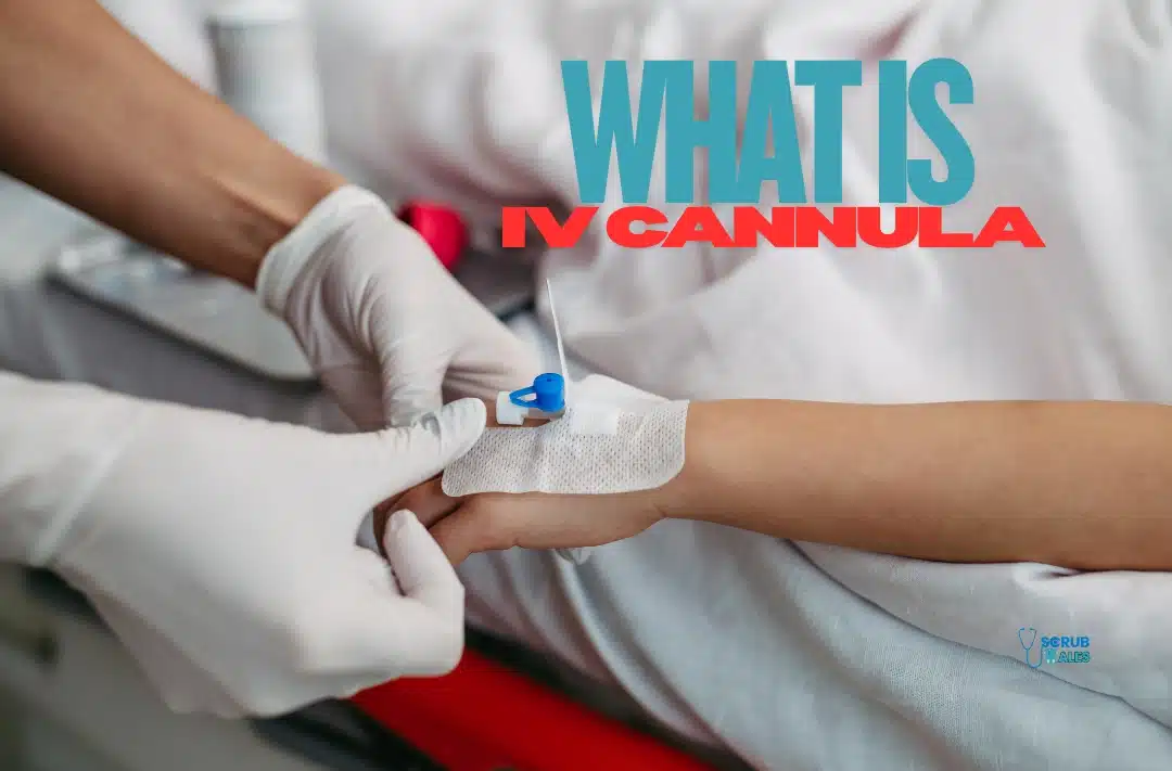 What is IV Cannula