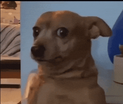 giphy 23
